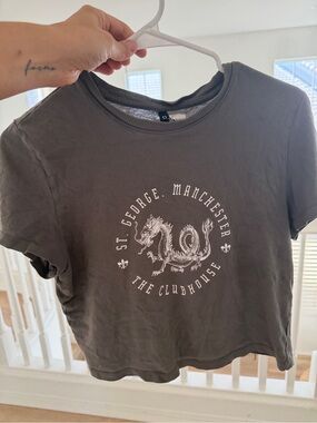 Divided Gray Dragon Graphic Tee